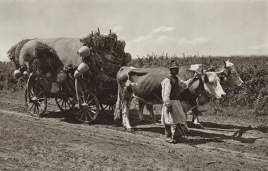 Roemenië: Pottenbakker