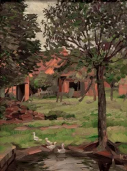 Boerderij met ganzen