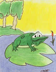 Leliepadkikker, 2005 (kleurpotlood op papier)