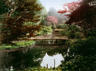 Japanse sierlijke tuin in bloei