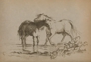 Paarden, 1903