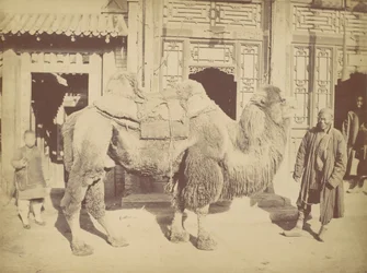 Peking. Nr. 923, 1867