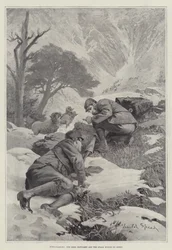 Hind-stalking, het hert verstoord en de stalk verwoest door schapen