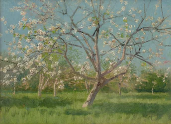Boomgaard met bloesem, 1900-10