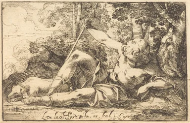 Narcissus bij de Bron