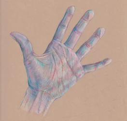 Handstudie #3, 2025 (kleurpotlood op getint papier)