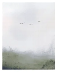 Vogels vliegen over een veld, c.2018