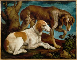 Deux chiens de chasse lies a une souche - Twee jachthonden vastgebonden aan een boomstronk ...