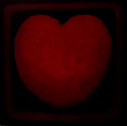 Grote Liefde