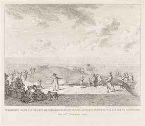 Vinvis aangespoeld op het strand bij Zandvoort