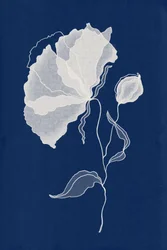 Etherische blauwe bloei