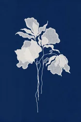 Etherische witte bloemen
