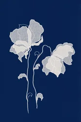 Etherische witte bloemen