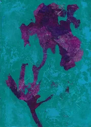 Abstracte paarse iris