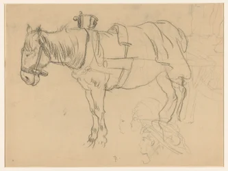 Aangespannen paard en kopstudies