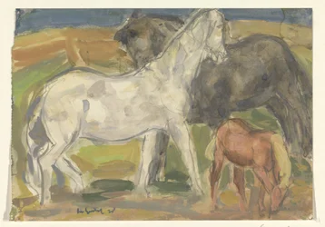 Twee paarden en een veulen in een landschap