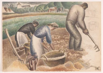 Aardappelrooiers op het land