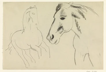 Galopperend paard en paardenhoofd