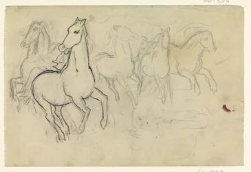 Galopperende paarden