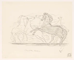 Kudde paarden