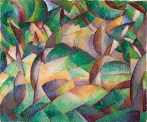 Olijfboomgaard, Mallorca