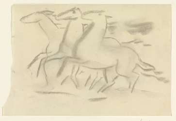 Rennende paarden