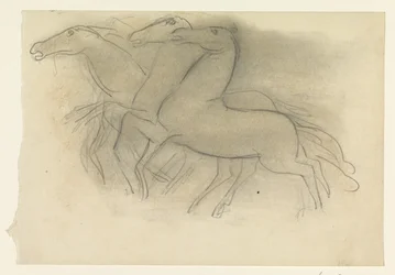 Rennende paarden