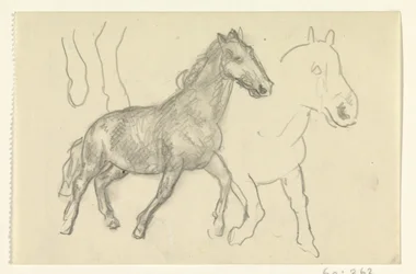 Twee lopende paarden