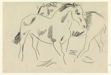 Twee paarden