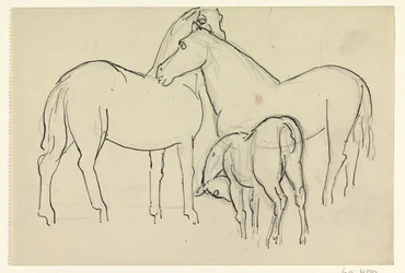Twee paarden en een veulen