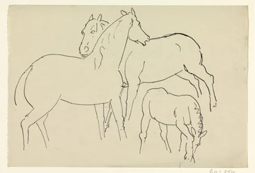 Twee paarden en een veulen