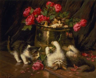 Speelse Kittens