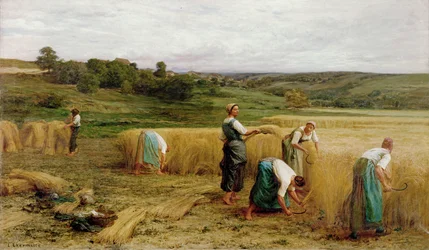 Oogst, 1874