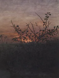 Sleedoorn (?) voor een landschap bij zonsondergang