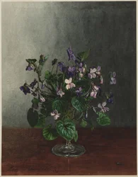Boeket viooltjes