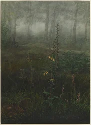 Grijze toorts in het kreupelhout