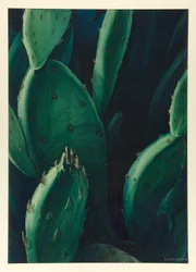 Smaragden (Cactus)