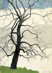 Eenzame Boom aan de Rand van de Vijver