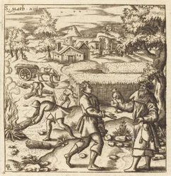 Gelijkenis van het onkruid in de tarwe