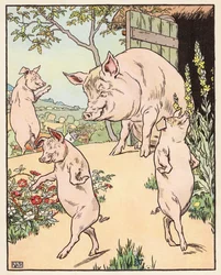 De drie biggetjes (kleurenlitho)