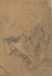 Hoofd van een schreeuwende man