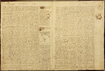 Een pagina uit de Codex Leicester, 1508-12