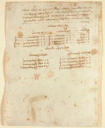 Aantekeningen (1483-1499), uit 