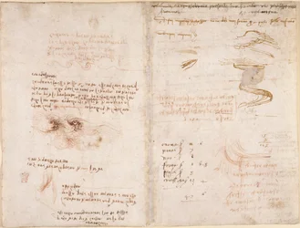 Notities over het gevoel van realiteit in dromen, over water, en de rivieren Sieve en Arno (ondersteboven), uit 