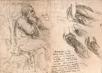 Tekening die de weergave van haar dat in krullen valt illustreert, c1472-c1519 1883