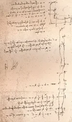 Tekening ter illustratie van de theorie van de proporties van het menselijk figuur