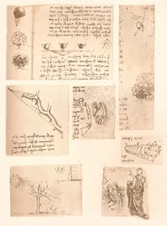 Vijf tekeningen die de elementen van landschapschilderkunst illustreren, ca. 1472-ca. 1519 1883