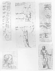 Vijf tekeningen die de theorie van de proporties van het menselijk figuur illustreren, ca. 1472-ca. 1519