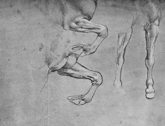 Vier studies van paardenbenen, c. 1480