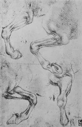 Vier studies van paardenbenen, ca. 1480